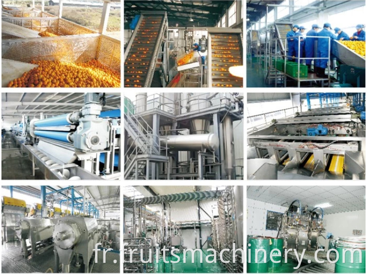 Industrial Citrus Peeler Machine Citrus Processing Line